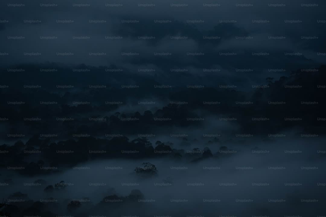 俄媒:欧盟的苍茫VS北京的坚决